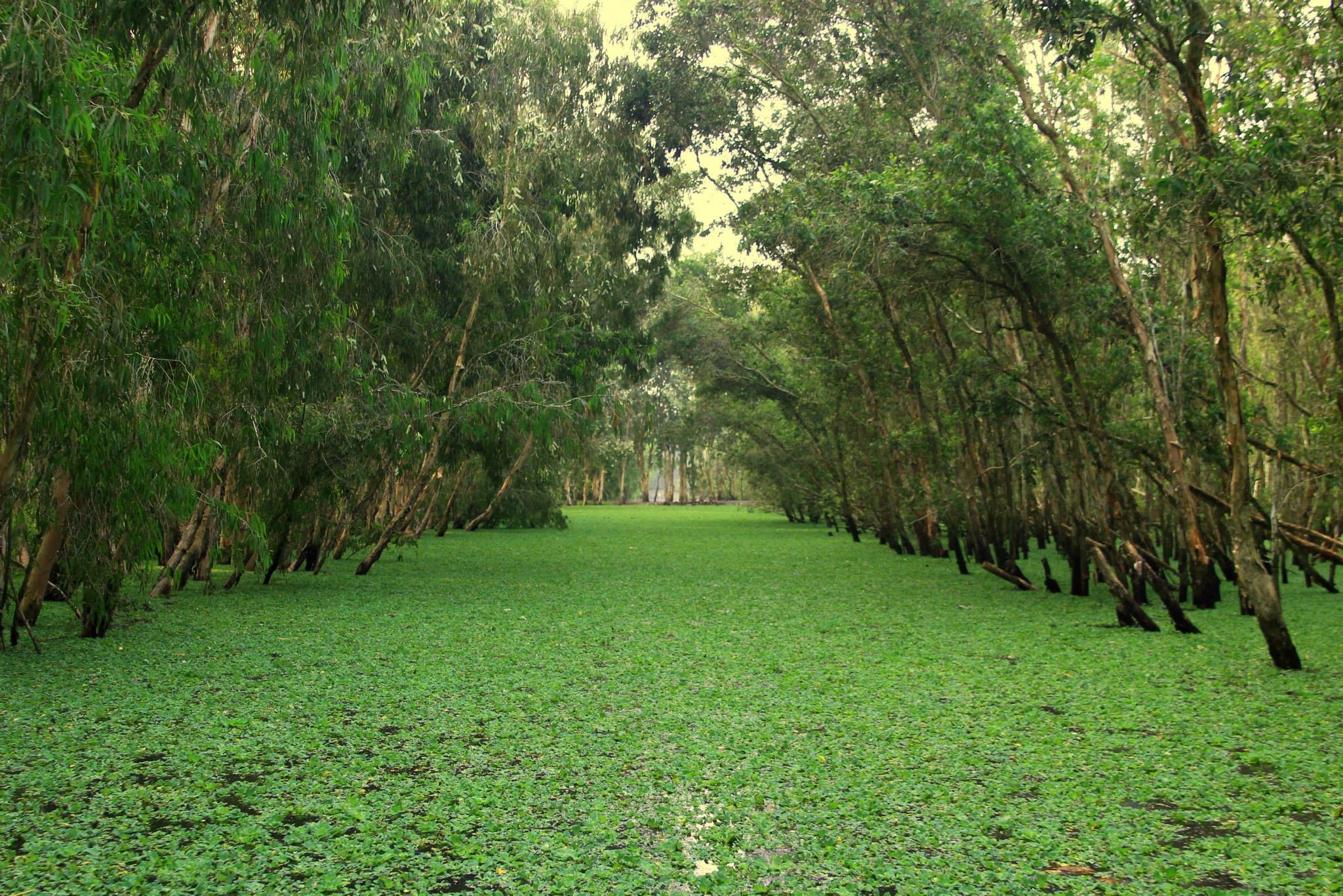 Trà Sư là một vùng đất được khá nhiều bạn trẻ yêu thích du lịch bụi chọn đến trong hành trình.