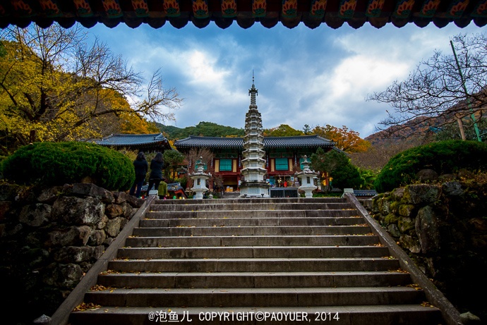 Tim ve noi coi nguon tra dao Han Quoc hinh anh