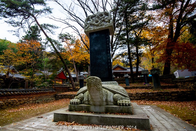 Nơi đây lưu lại bút tích về lịch sử trà đạo. 