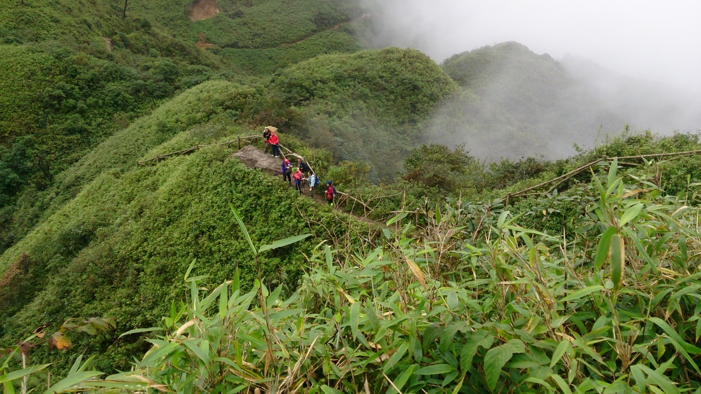 Đi giữa lưng chừng mây và dưới chân là một thảm xanh bạt ngàn.