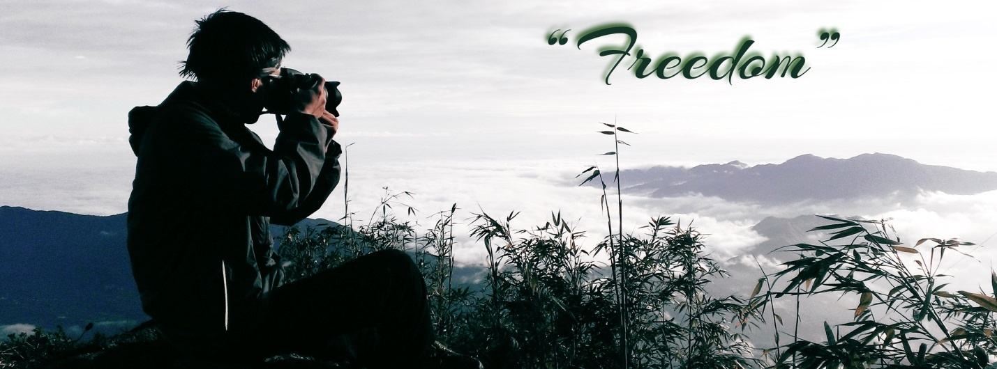 Nơi giao hòa của mây, núi điểm thêm những rặng “trúc phất trần” đầy thi vị.