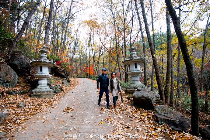 Khách đến Hadong-gun nhiều nhất là vào mùa xuân. Còn có truyền thuyết kể, những đôi yêu nhau khi đi trên con đường dẫn tới đây, sau này đều nên duyên vợ chồng, vì thế mà con đường còn có tên là Đường Hôn nhân. 