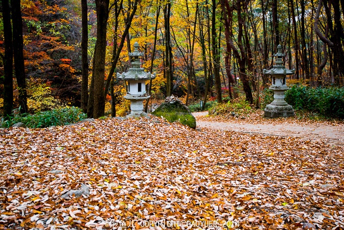 Mùa thu, cảnh vật ở đây cũng đẹp không kém. 