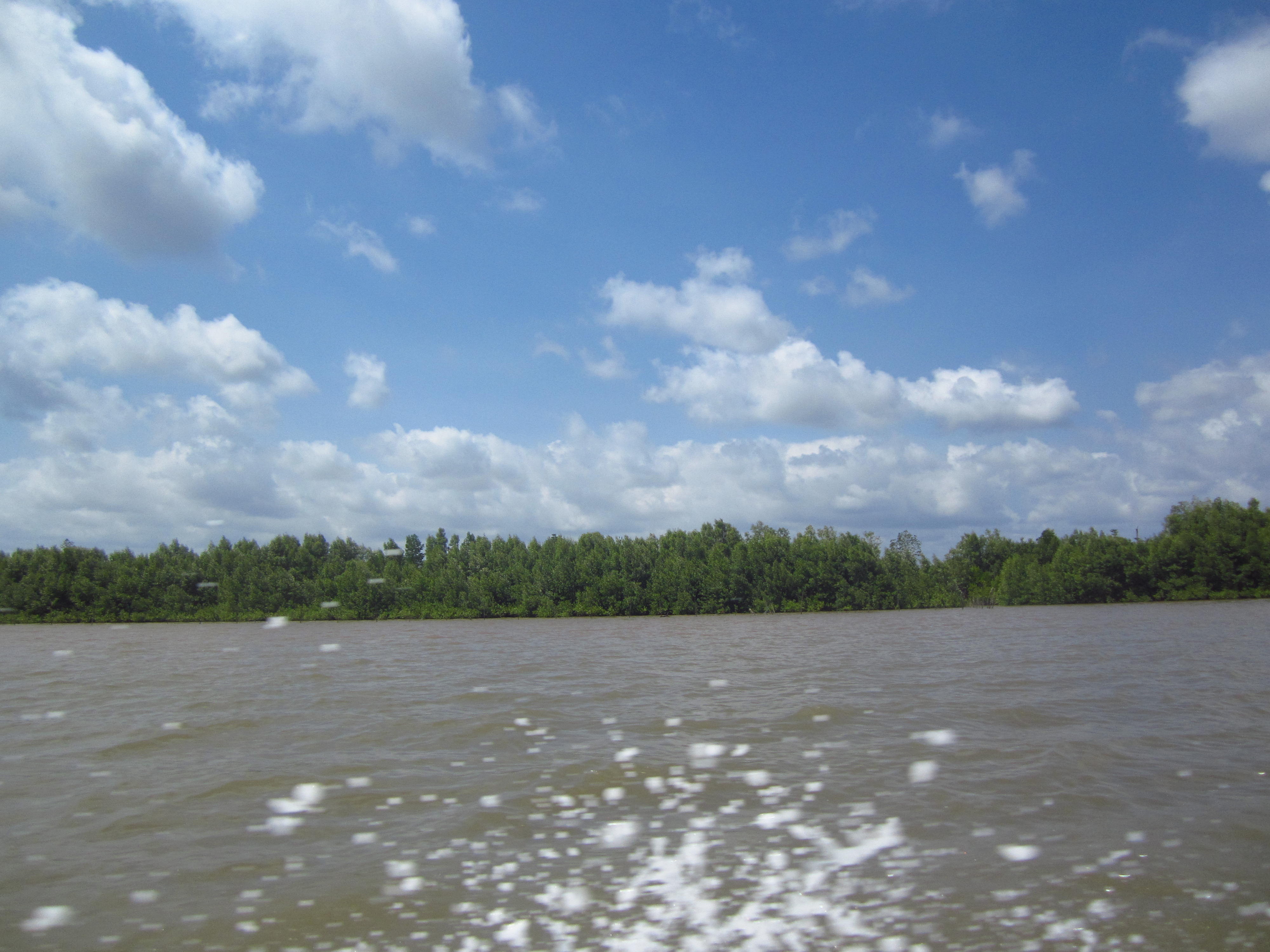 Phương án thứ hai là đi xe máy, khoảng 300km cho quãng Sài Gòn – Cà Mau và thêm khoảng 50km nữa để về đến Năm Căn, rồi từ đó đi tàu cao tốc ra Đất Mũi, chi phí 70 ngàn cho một người một lượt tàu Năm Căn – Đất Mũi, ở bến thì có rất nhiều người cò giá rất cao đấy, từ 700 ngàn đến vài triệu, các bạn nên tự ra bến không nghe lời cò và xe ôm nhé. 