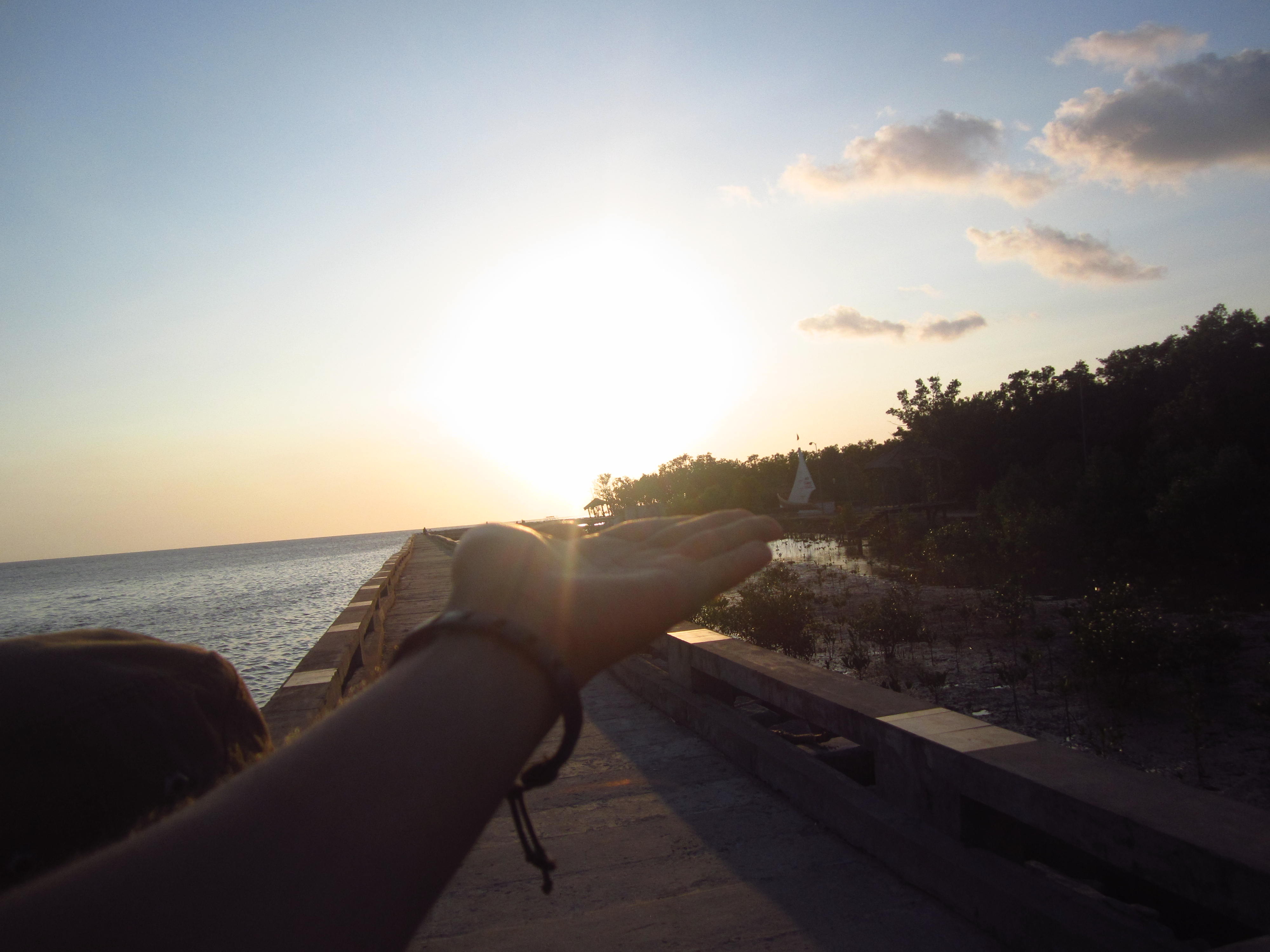 Và còn đâu đó câu chuyện của chị Sáu, chú Tám Thi còn cả những chú cá vừa câu dưới biển lên nhảy lạch tạch trong thùng. Một Đất Phương Nam của chú bé An trong lòng tôi sống dậy, nhẹ nhàng, đẹp đẽ và nên thơ. 