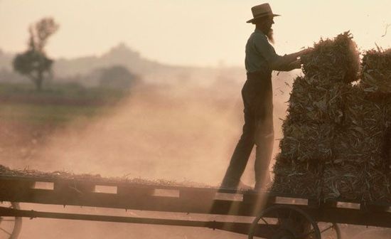 3. Khu người Amish sinh sống (bờ Tây sông Mississippi, Mỹ): Là một nhánh của đạo Cơ đốc, người Amish đến nay vẫn sống cuộc sống nông canh nguyên thủy, không dùng ô tô, điện thoại di động và các thiết bị sinh hoạt hiện đại khác. Đến đây, du khách có thể tận hưởng cảm giác an nhàn khi dạo chơi bằng xe ngựa. Người Amish hiếu khách, tuy nhiên họ muốn được tôn trọng cuộc sống riêng, vì vậy yêu cầu du khách tốt nhất không nên chụp ảnh phong cảnh nơi  đây. 