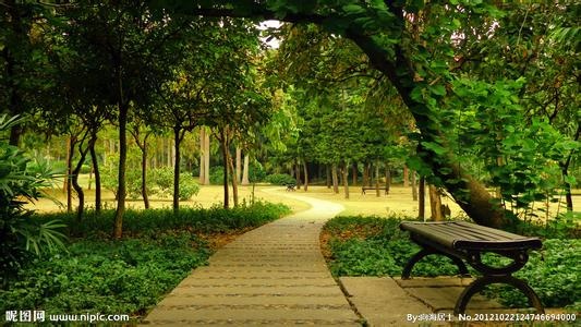 Cong vien ngam dau tien se duoc xay nhu the nao? hinh anh