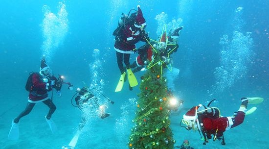 Nhân viên mặc đồ ông già Noel đang chuẩn bị cây thông.