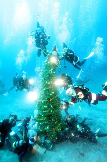 Cây thông Noel dưới biển cao 4m.