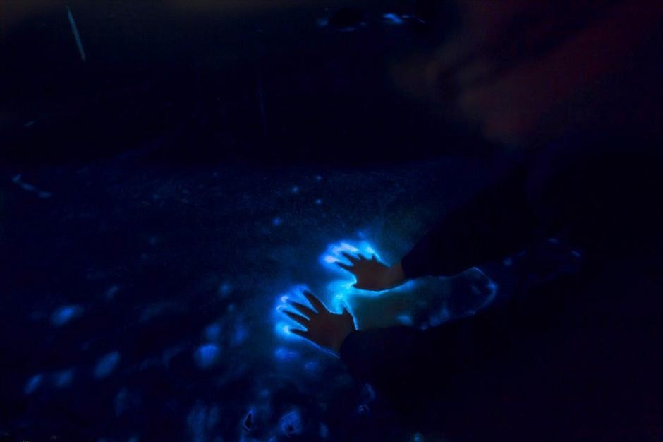 Trên bãi biển đảo Mjorn (Thụy Điển), hàng ngàn hàng vạn sinh vật nổi trên mặt biển, tạo thành một quầng sáng xanh huyền diệu.