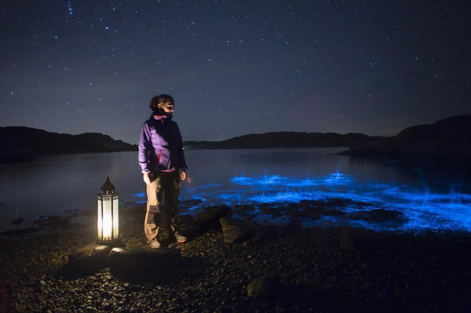 Mỗi lần sóng vỗ vào bờ, ánh sáng xanh kỳ diệu đó lại càng thêm lung linh.