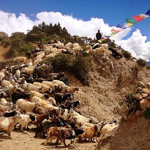 Nyi La Pass (Nepal):  Nằm ở điểm cao nhất của Mustang, Nyi La Pass là mảnh đất rộng mênh mông bát ngát. Du khách đặt chân tới đây sẽ tận hưởng được cảm giác chìm mình trong bao la đất trời. 