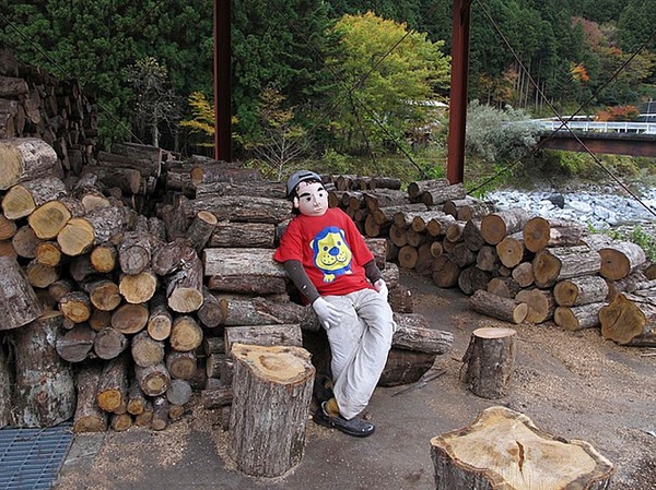 Ngoi lang phai dung hinh nom cho do vang ve hinh anh