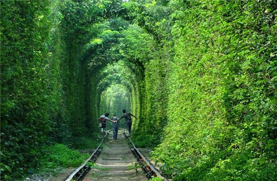Đường ngầm Tình Yêu phiên bản Nam Kinh (Trung Quốc): Thành phố Nam Kinh cũng có một đoạn đường sắt vài trăm mét hai bên cây xanh mọc um tùm, là một trong những điểm chụp ảnh cưới rộn ràng nhất nơi đây. 