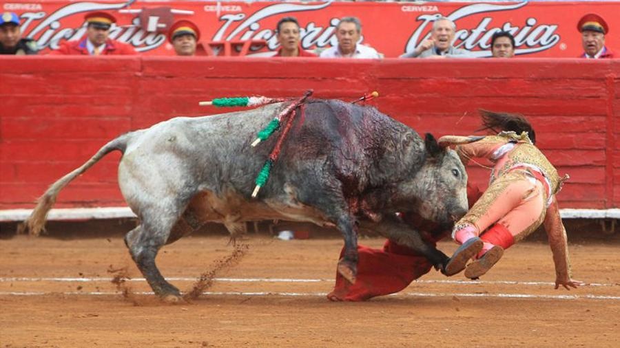 Nữ đấu sĩ Karla de los Angeles là người tham gia trận đấu. 