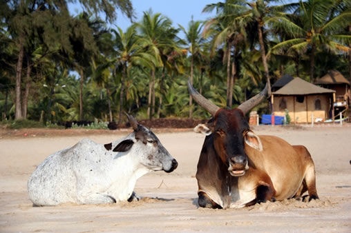 7 bai bien bat thuong nhat the gioi hinh anh