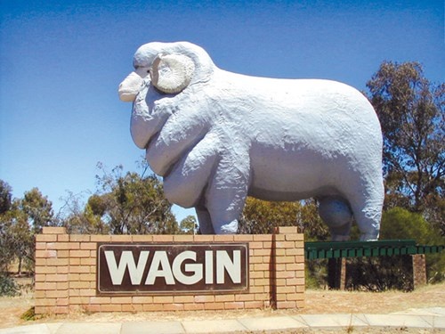 Tượng cừu ở Wagin