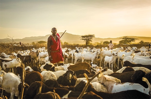 Du lich tham de ngam cuu hinh anh