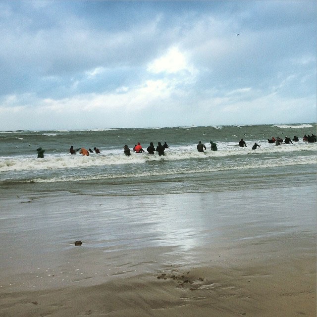 Rất đông người dân đã đổ xô ra biển để vớt hoặc nhặt hổ phách.