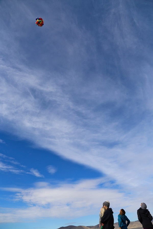 Roner dùng một chiếc ghế nằm (thay cho ngôi nhà trong phim), 90 quả bóng bay, một dù tiếp đất và một súng săn. 