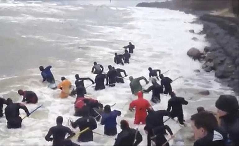 Có người thì nhặt trên bờ, có người mặc đồ lặn, cầm vợt ra những chỗ tập trung nhiều hổ phách để vớt. 