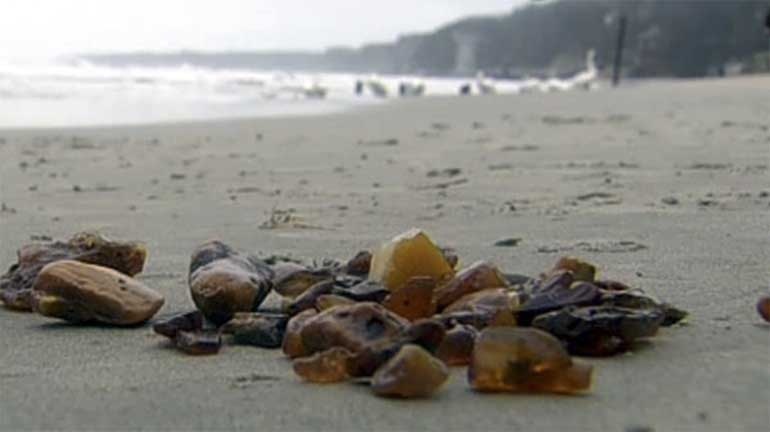 ... vì vậy nổi tiếng với danh hiệu 