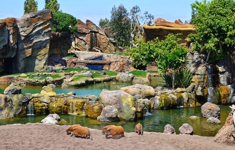 Bioparc Valencia là một vườn thú nhỏ với diện tích chỉ hơn 100.000 m2 ở Valencia, Tây Ban Nha nhưng lại là nơi sinh sống của đông đủ các loài động vật châu Phi.