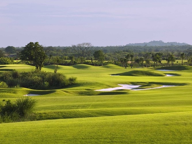 Sân golf trông mát mắt với những ngọn đồi và hàng cọ xanh ngắt.