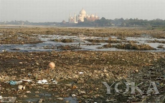 Đáng tiếc, trong tấm hình 