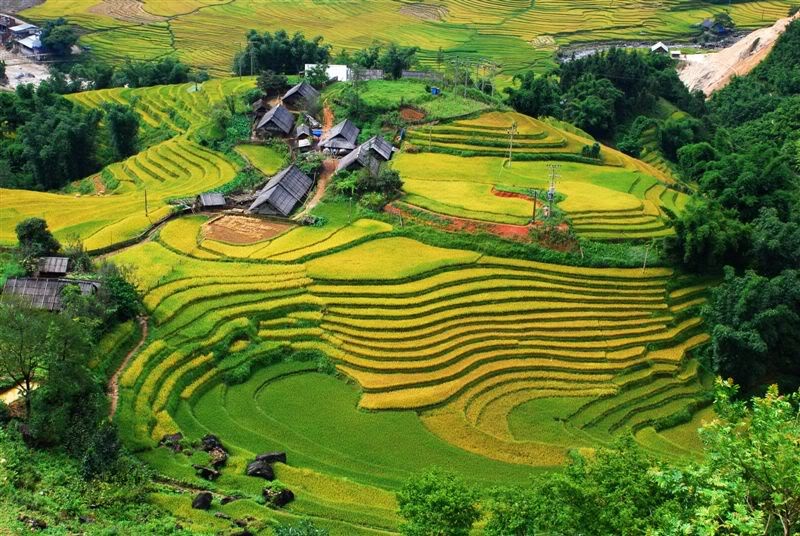 7 ly do khien Viet Nam la diem den du lich hap dan hinh anh