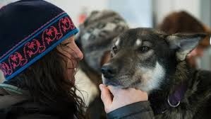 Tình cảm giữa người điều khiển xe và chó kéo là mấu chốt thành công của những người tham gia thi. Thường thì cần nuôi những con chó kéo từ nhỏ, yêu thương chăm sóc chúng, cho đến khi chúng đủ lớn để kéo xe trượt tuyết, đến lúc này cần dạy thêm chúng về cách tự tin khi kéo xe.