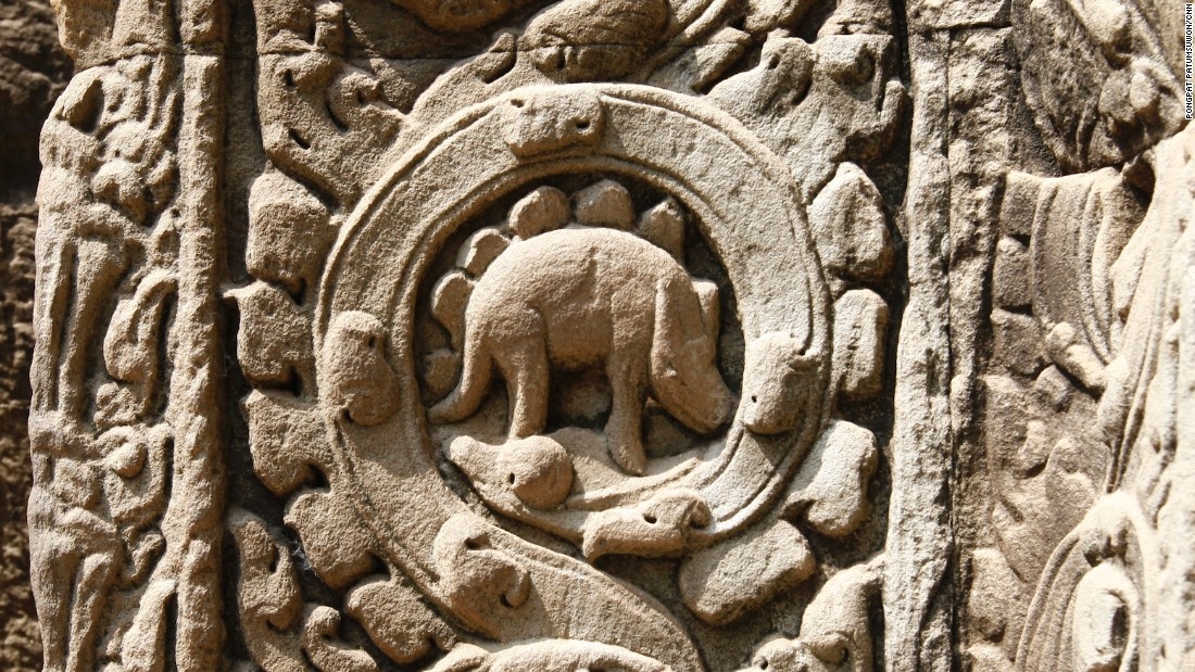 …Đây là khủng long hóa thạch? Hay là con tê tê? Là gì thì các nhà khoa học còn đang tiếp tục tìm hiểu, chỉ biết rằng, đây là những hình ảnh thú vị ngoài những cây lớn kia.  