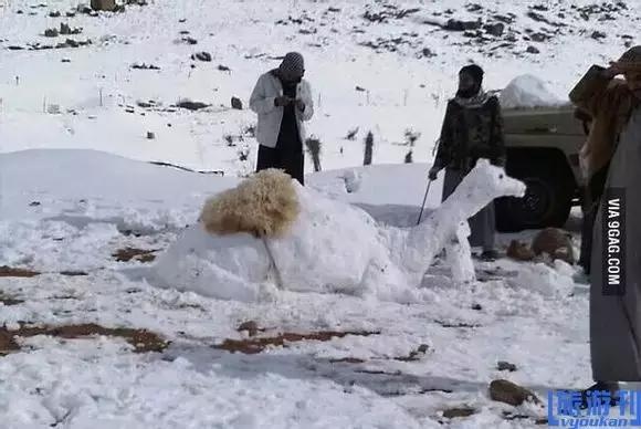 Hàng trăm năm nay Ả Rập mới có một lần đón tuyết như năm nay. Tuyết rơi quả thực là sự kiện vừa hiếm vừa lạ ở nơi đây.  