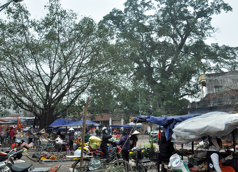 Phiên chợ quê được họp ngay cổng chùa Mía.