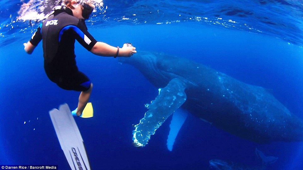 Boi voi ca voi o do sau 500 m hinh anh