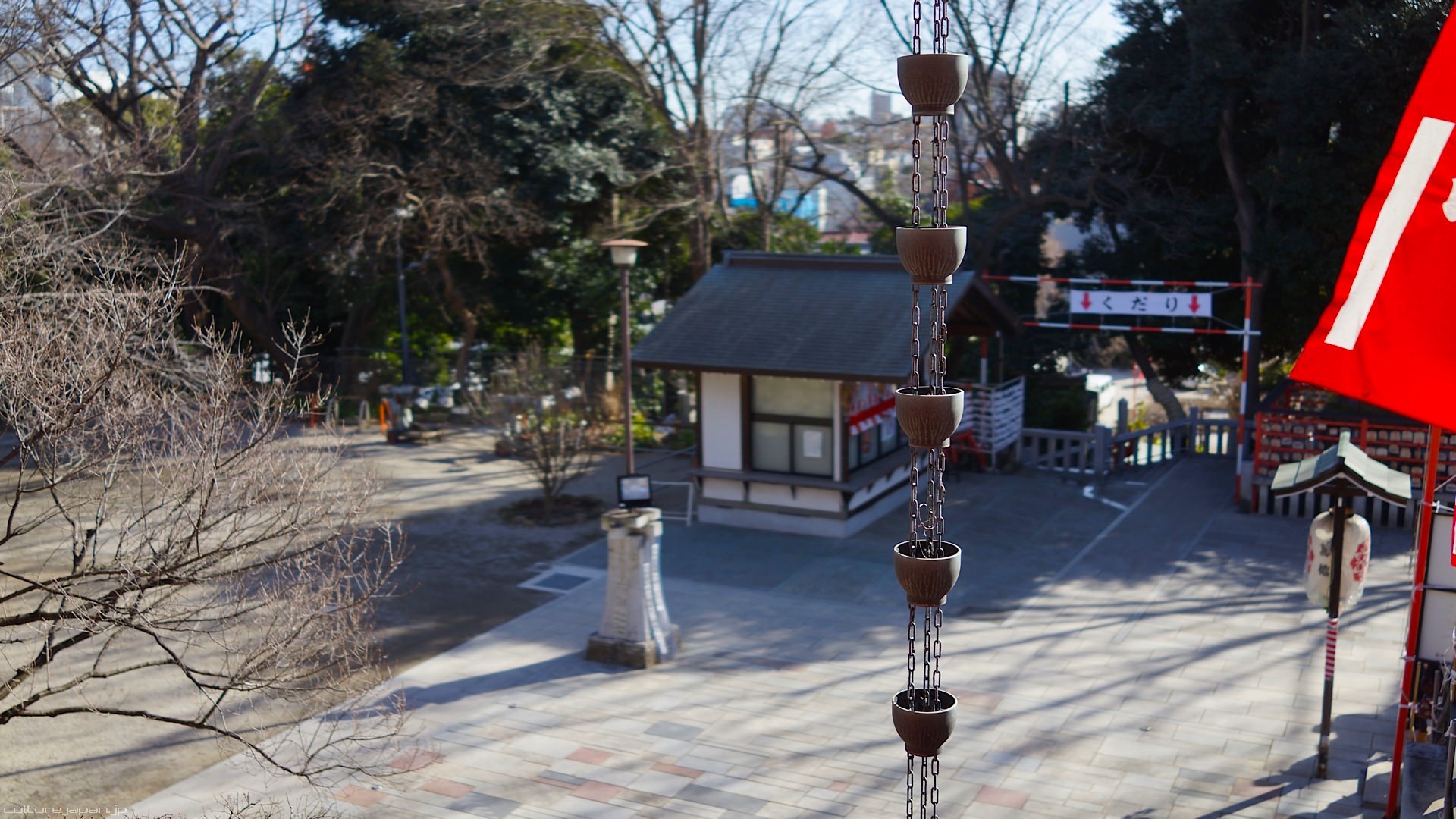 Những vật hình cốc này để đón hứng nước mưa giọt từ trên mái, tránh bị chảy tràn khắp mái.