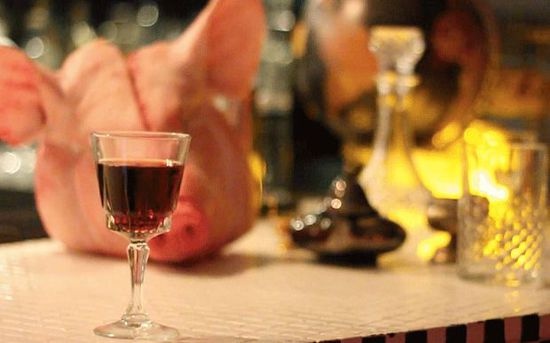 Cocktail tiet lon hinh anh