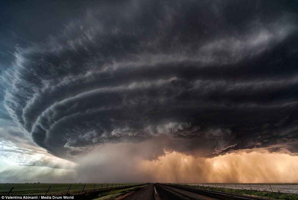 Valentina Abinanti đã thành lập hẳn một trang web để lưu giữ lại những hình ảnh tốt nhất của mình, đồng thời cũng là nền tảng thúc đẩy cho công việc của cô.