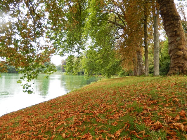 Du khách dạo bước trên những con đường quanh hồ.