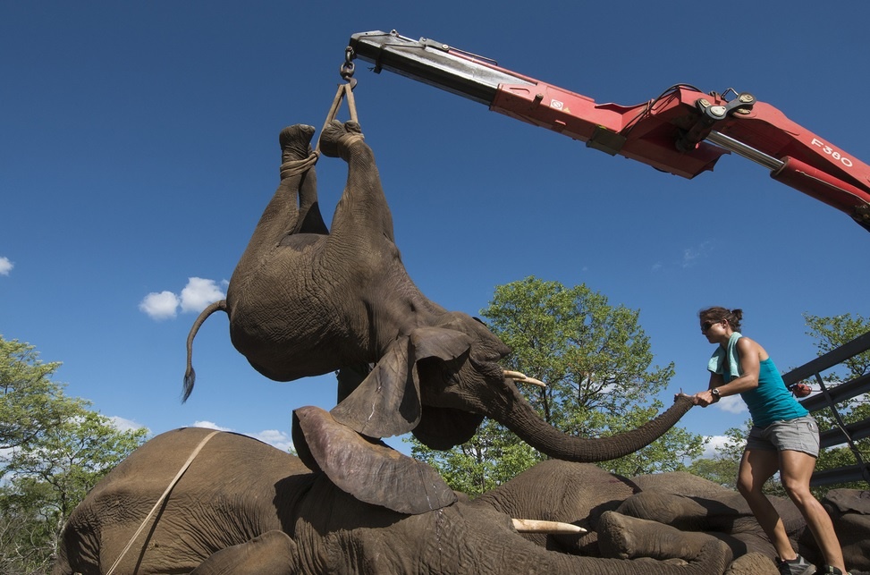 Tiem thuoc an than de van chuyen voi hinh anh