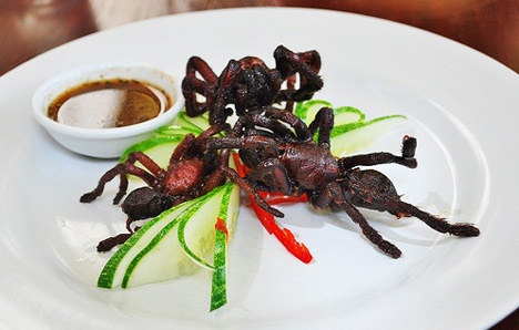 Nhung mon an khong de nuot khap nam chau hinh anh