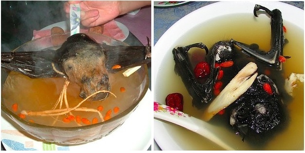 14.	 Súp Dơi. Được coi là món ăn đặc sản ở Tây Phi và các nước Đông Nam Á. Để làm được món súp dơi hoàn hảo thì cần phải thực hiện đủ những bước sau: Bắt được nguyên con dơi còn sống, đun sôi chúng với nước cốt dừa, tẩy sạch cơ thể rồi pha trộn với các loại thảo mộc và gia vị ưa thích…