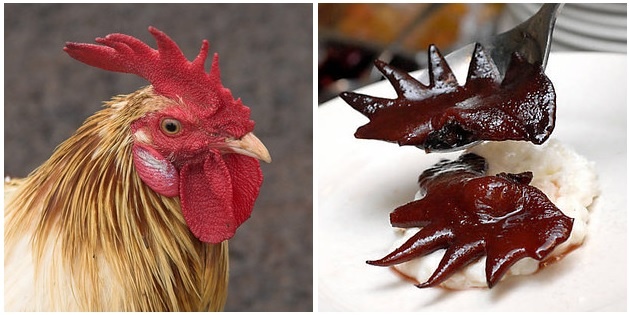 4.	Mào gà. Không chỉ để làm cảnh, mào gà cũng chứa nhiều dinh dưỡng và nếu thưởng thức chúng bạn sẽ thấy rất ngon. Mào gà thường được dùng trong các món ăn của Pháp và Italy, kết hợp với gan hoặc phần còn lại của các loài chim khác. Bạn có thể gây ngạc nhiên cho gia đình khi kết hợp mào gà với bánh gạo.