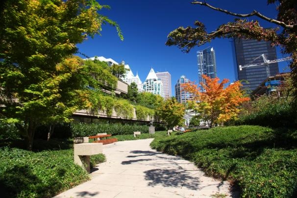 2. Lễ hội hoa anh đào tại Vancouver, Canada. Đây là một lễ hội thường niên đánh dấu sự khởi đầu mùa xuân, và cũng để chiêm ngưỡng vẻ đẹp của những bông hoa.