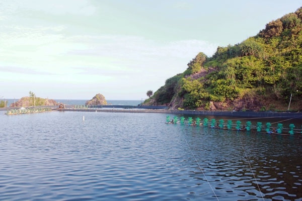 Lác đác trên bờ biển, người dân xây lấp những vuông nuôi tôm. Khi thủy triều rút, mặt biển hiện ra những bãi đá với muôn hình vạn trạng kỳ bí. Nếu đến đây vào tháng giêng, bạn sẽ được ngắm những tảng đá phủ xanh rong biển.