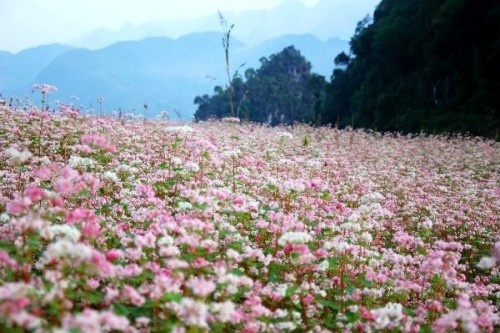 Phuot Ha Giang ngay khong mua hinh anh