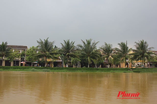 ... Tận hưởng làn gió mát lành từ sông Hoài và lắng tai nghe tiếng lá dừa reo vui trong gió.