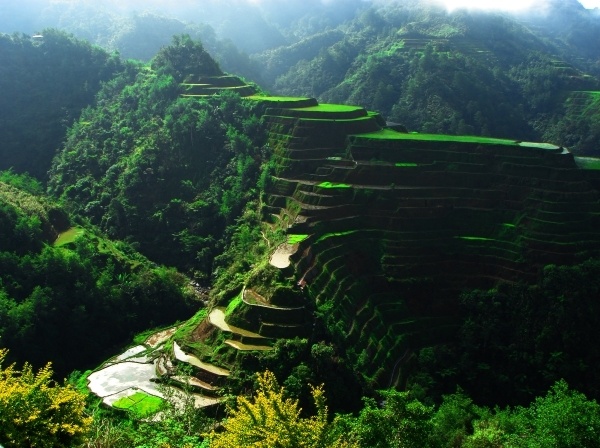 3. Trekking trên ruộng bậc thang ở Banaue.