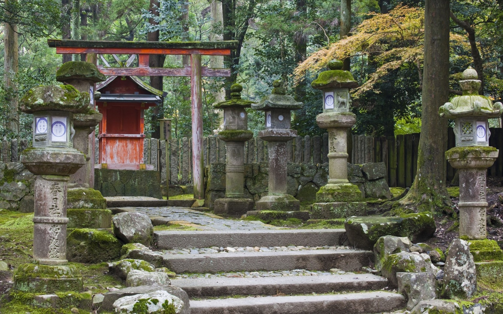 5. Khám phá vẻ đẹp của Nara  Là thủ đô đầu tiên của đất nước mặt trời mọc, Nara luôn nằm trong những lộ trình tham quan được du khách yêu thích nhất khi đến Nhật. Với hơn 1.500 chú nai sinh sống, công viên Nara là điểm đến được du khách yêu thích nhất khi đến đây. Bên cạnh đó, cổng thần đạo Kasuga với những cây cột đỏ, tường trắng, mái cong và hơn 1.000 chiếc đèn lồng treo quanh các mái hiên cũng là điểm tham quan được du khách vô cùng ưa thích.