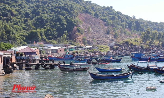 Nếu đến đây vào buổi sáng, bạn sẽ thấy cảnh ngư dân mua bán các loại hải sản đánh bắt được, tạo nên khung cảnh họp chợ ồn ào, náo nhiệt. Bạn có thể đi dạo một vòng và chọn mua những con mực tươi roi rói hay những con tôm còn búng tí tách trong chậu để chuẩn bị nguyên liệu cho bữa ăn trưa trên bãi.